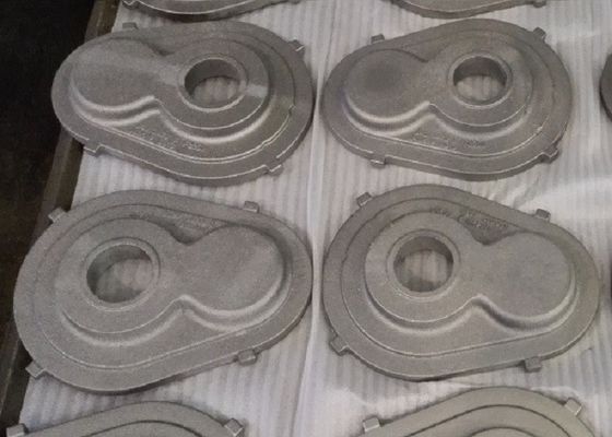 Zand die Grijs Ijzerafgietsels met van de Triplexpallet/Doos Verpakking gieten