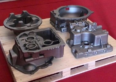 Zandafgietsels voor de Differentiële Huisvesting van Bouwmachines voor Graafwerktuig