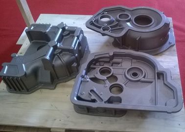 Zandafgietsels voor de Differentiële Huisvesting van Bouwmachines voor Graafwerktuig